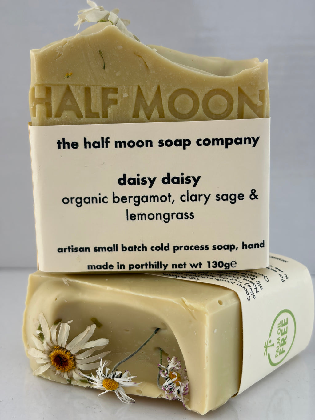 Daisy Daisy